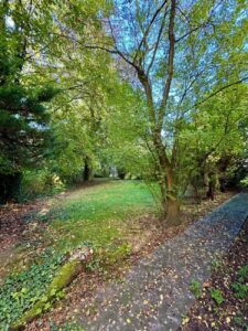Ansicht Garten