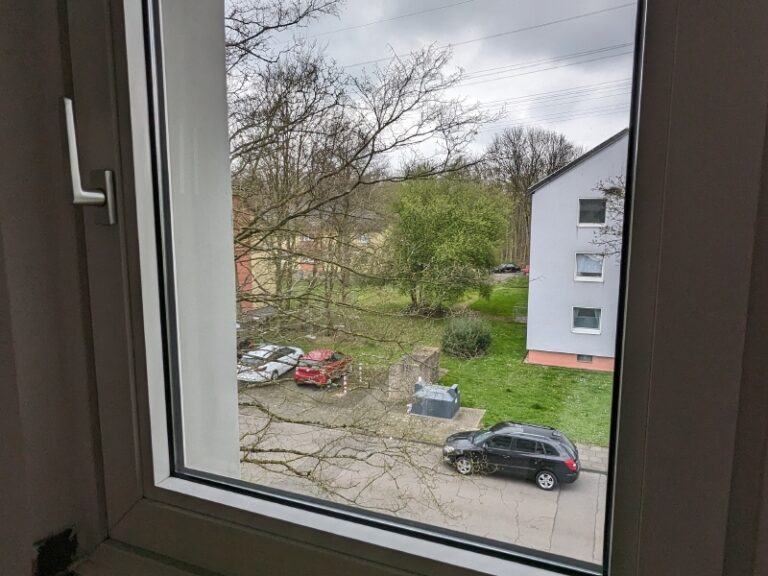 PXL_20240318_125640220