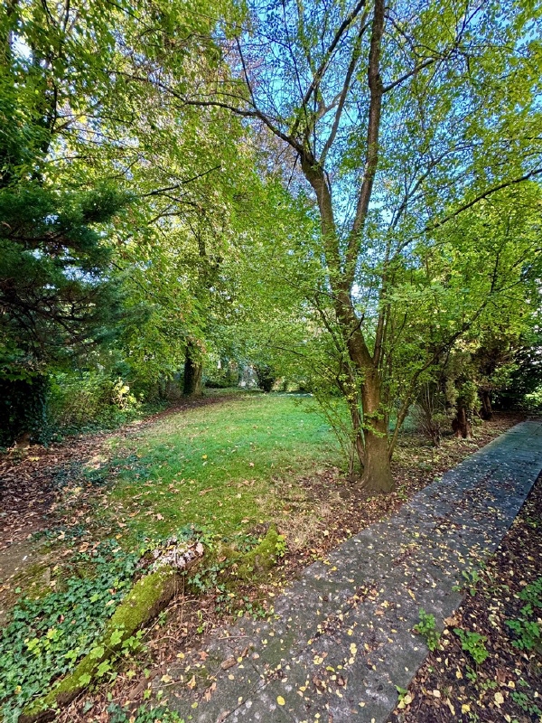 Ansicht Garten
